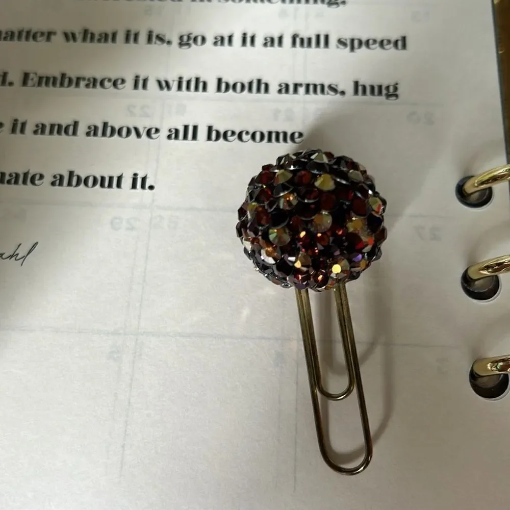Charm clip crystals and teddy bear design round NWT
